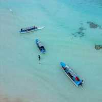 Mnemba Island Tours & dolphins Trip 