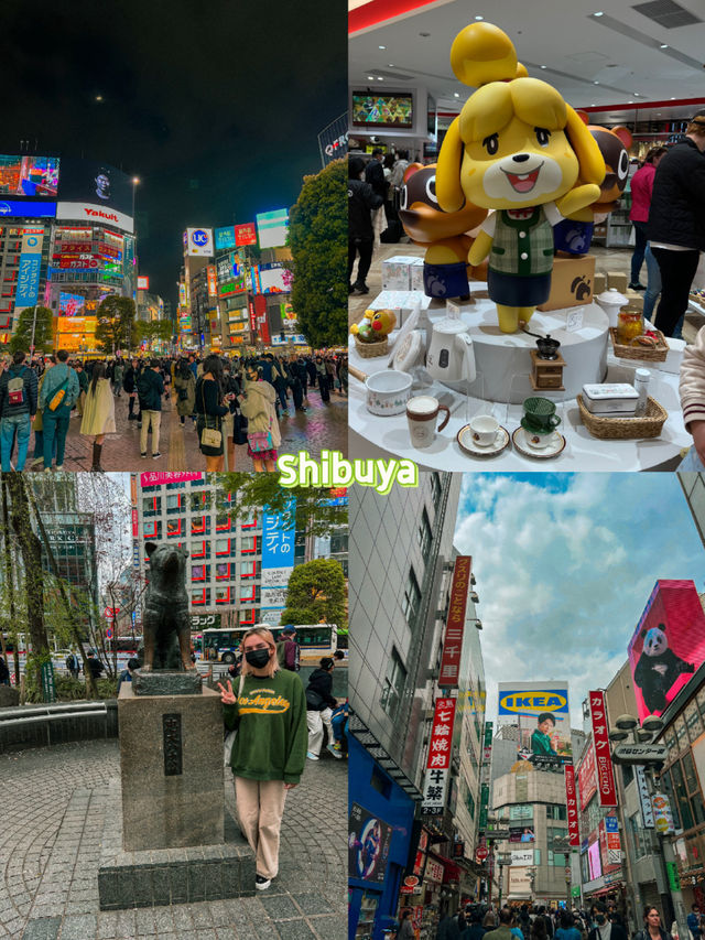 The Best Things to see in Tokyo, Japan 🇯🇵