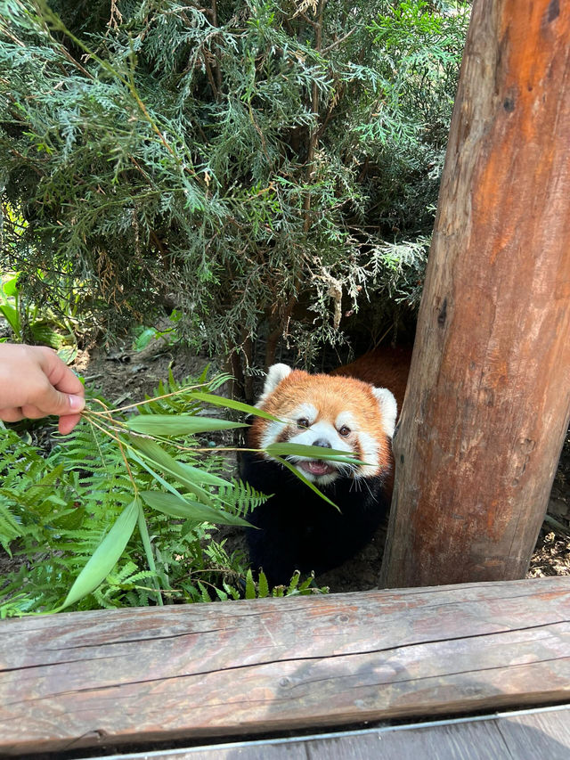 北京動物園