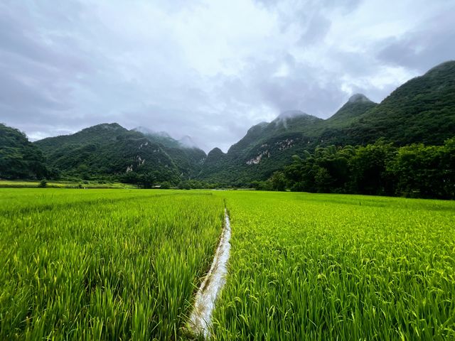 藏在雲南的世外桃源