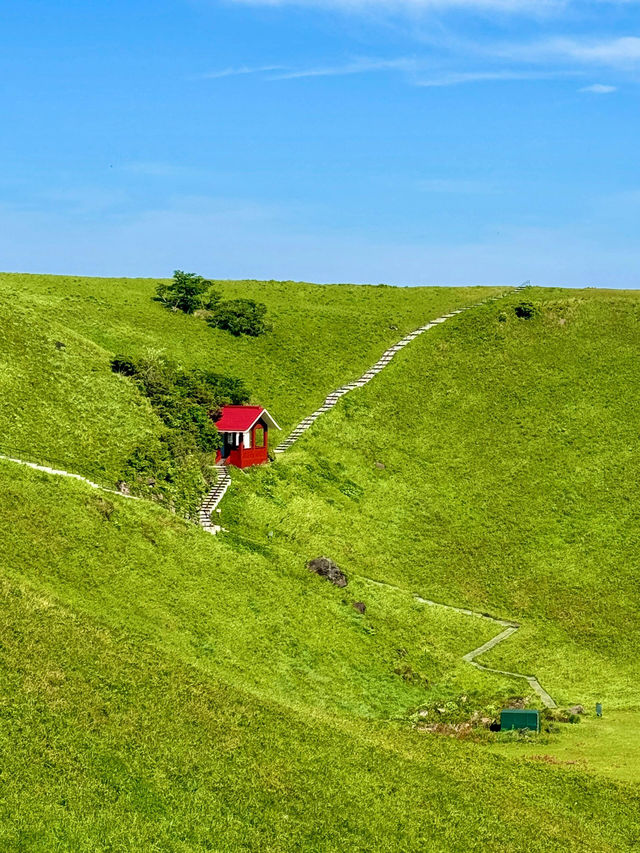 伊豆大室山｜日本抹茶山。