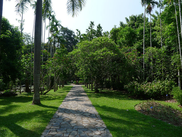 熱帶植物園·樹木園——精緻的樹木王國。