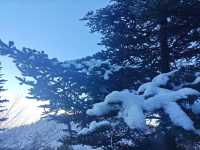 雲海環繞朝霞滿天，赴一趟西嶺雪山！。