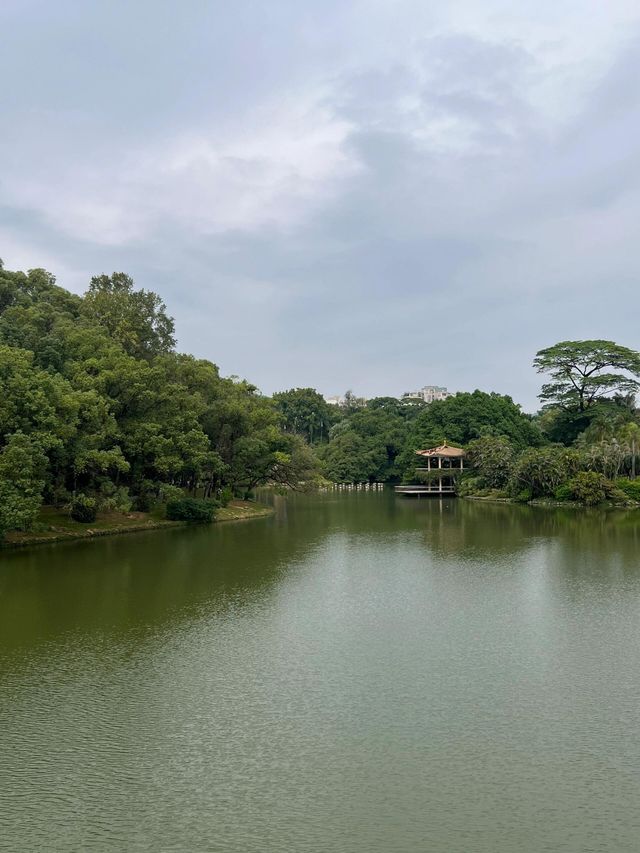 廣州華南植物園   天然氧吧