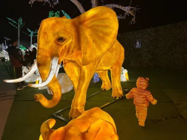 Illumi Toronto: A Must-Visit Light Show for Families