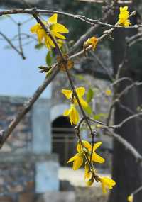 北京香山公園 香山寺