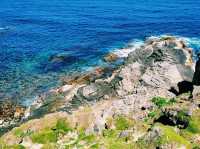 Fur Seal Lookout