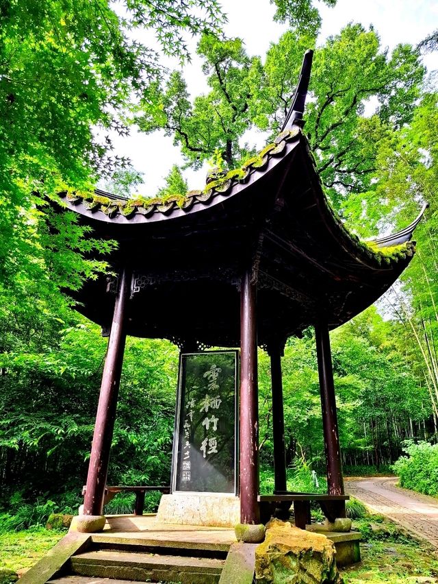 Bamboo Trail in Hangzhou