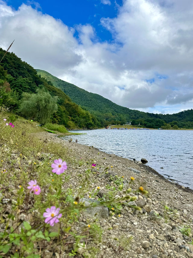 Epic Road Trip Around Fuji's Five Lakes 🗻