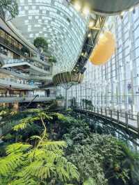 The Ring Mall, the most eco friendly mall.in Chongqing