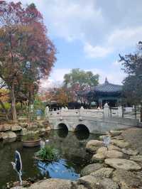 가을가을한 낭만적인 공원 경상감영공원🌿🧡