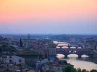 Stunning Florence skyline 