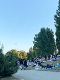 Picnic by The Han River- Recommended for Family Travels 