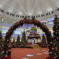 The Curve: Where Christmas Magic Comes to Life