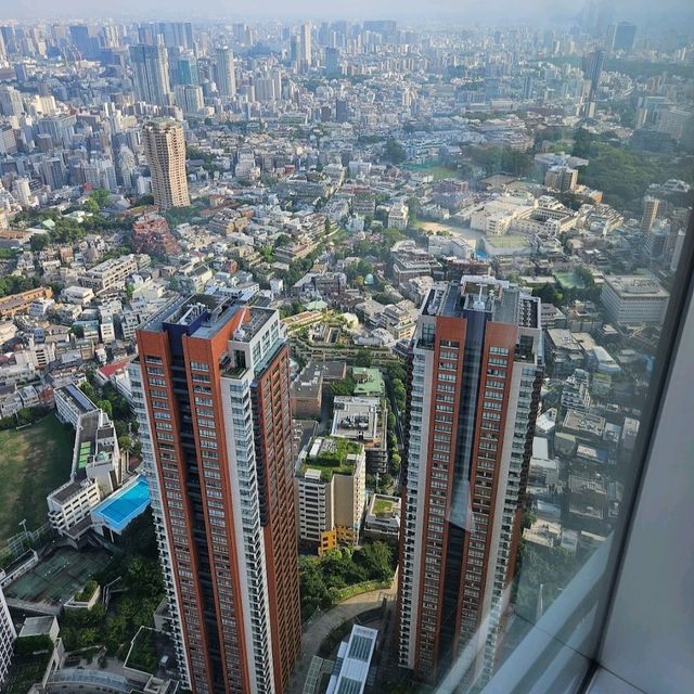 Roppongi hills outdoor plus views