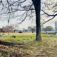 Visit the South Outer Moat of Osaka Castle