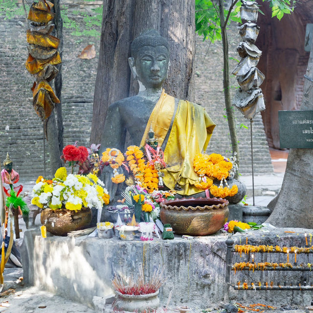 A Peaceful Escape at Wat Umong