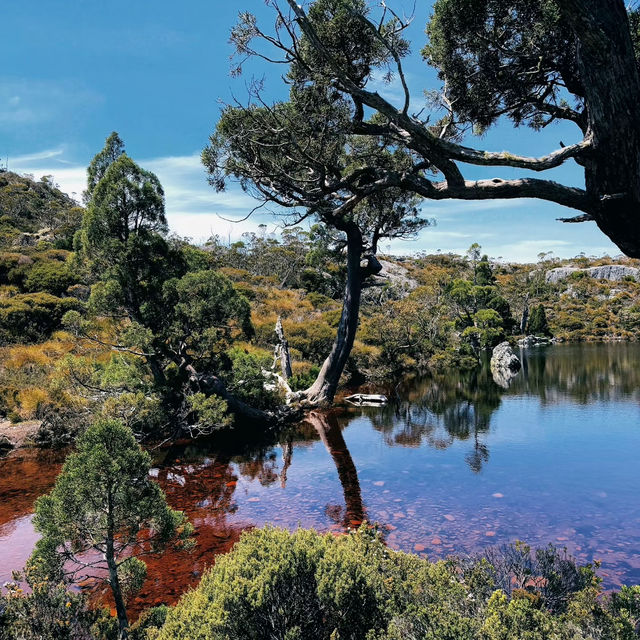 Nature’s Majestic Playground: My Adventure in Cradle Mountain-Lake St. Clair National Park! 