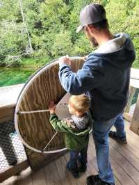 Riding a self-driven raft across Kitch-iti-kipi Spring is a magical experience