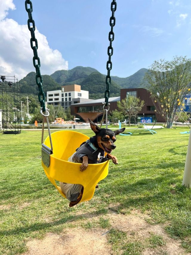 我找到了阿那亞平替【北京山谷】