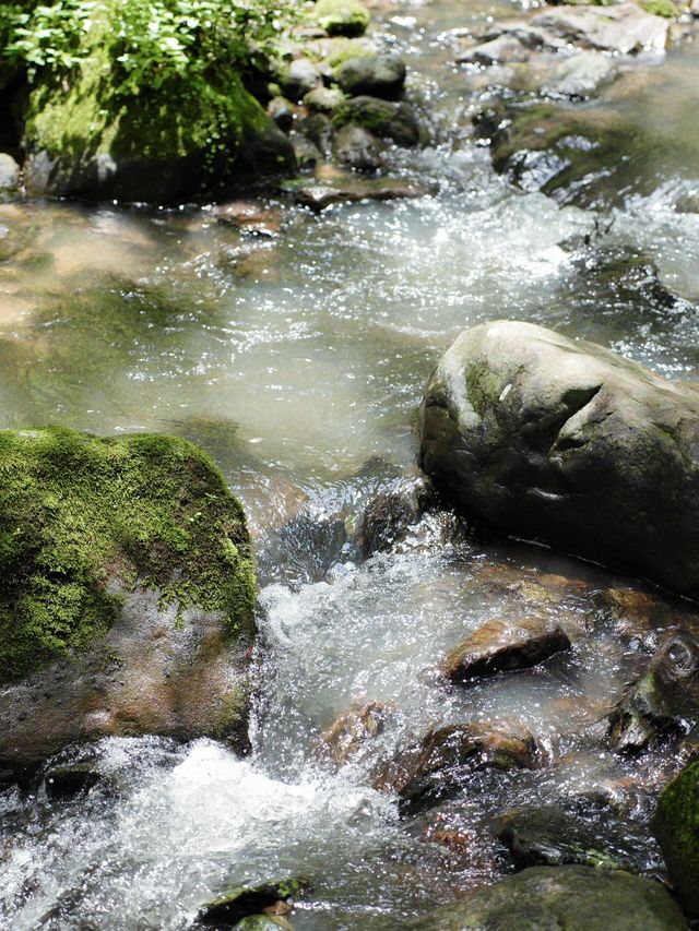 行山綠野仙蹤——禄劝桂花渡水庫。