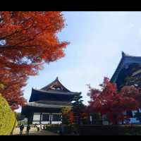 Fall colors in the temples of Japan