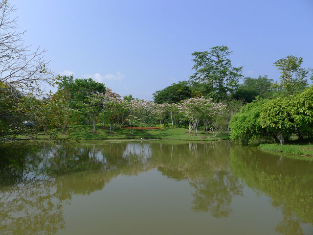 景洪·熱帶植物園西區——園藝的巔峰之作。