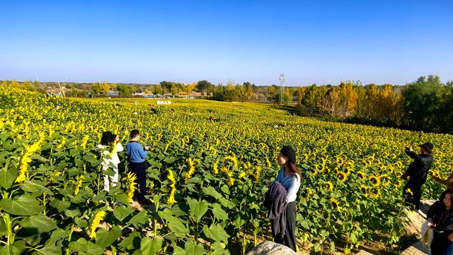 徒步、觀景、登小山都適宜。