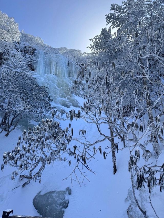 轎子雪山下雪了一日遊攻略放這裡了。