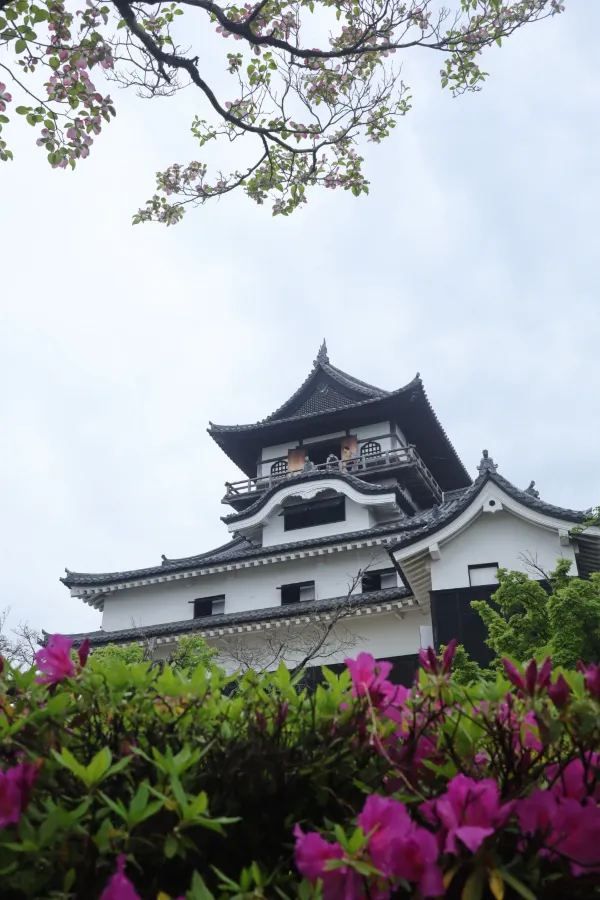 Visit Inuyama Castle from Nagoya