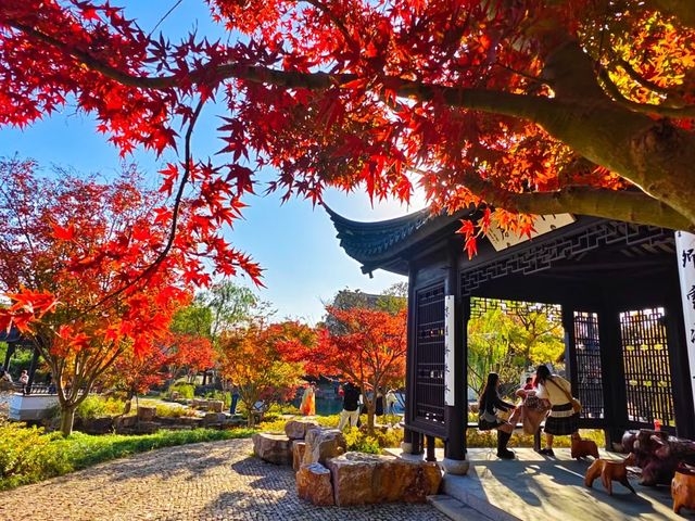 蘇州—西園寺。