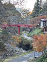 世界文化遺產日本佛教聖地高野山一日遊