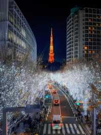 Experience the Magic of Tokyo's Christmas Illuminations