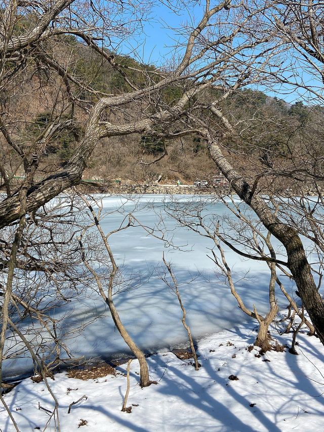 哈爾濱-雪鄉2日親子遊玩轉冰雪世界攻略