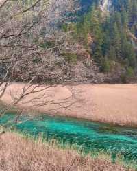 九寨溝，夢幻山水畫卷