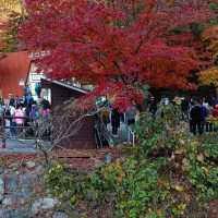 秋天韓國內藏山賞楓