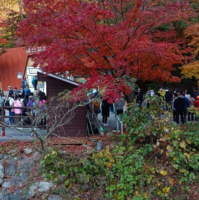 秋天韓國內藏山賞楓