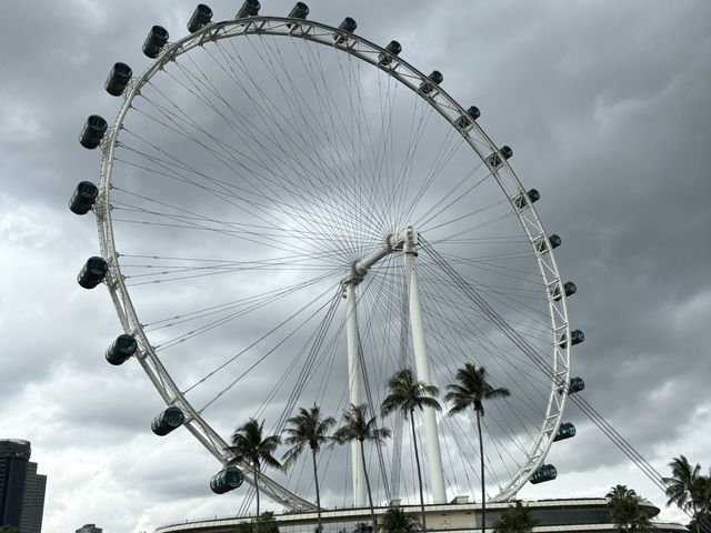 Singapore Duck Tours: Land & Sea Adventure