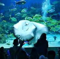 Fasinating & educational aquarium tour!