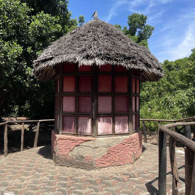 The old tortoise sanctuary in Zanzibar 