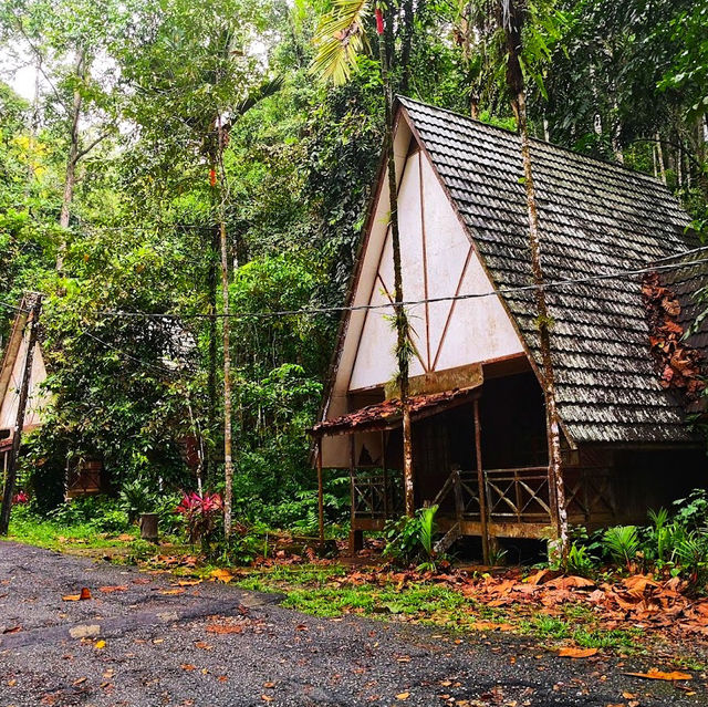 🇲🇾 Reconnect with Nature at Sungai Congkak Recreational Forest