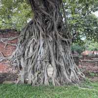 Ayutthaya Historical Park