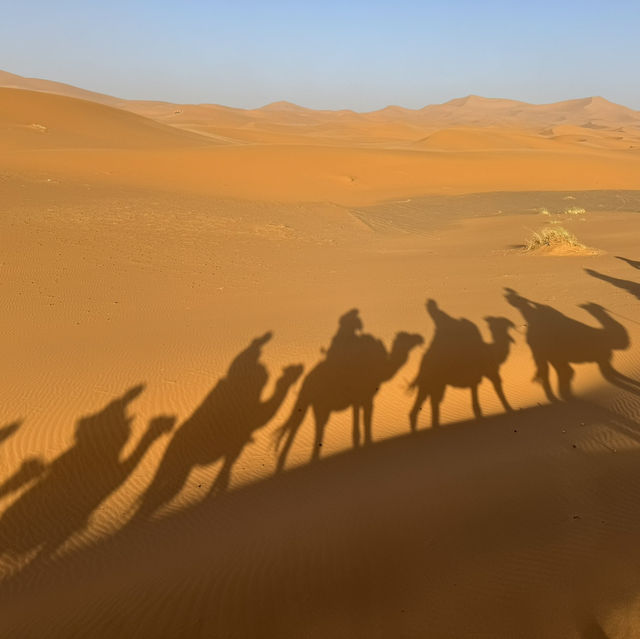 Crossing the desert of Morocco 