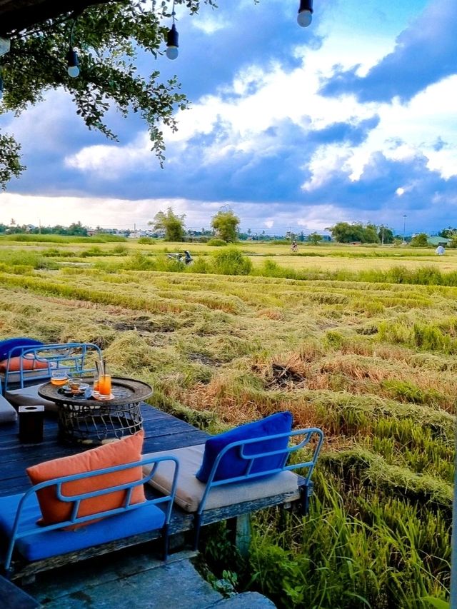 MUST VISIT CAFE AMIDST PADDY FIELD IN HOI AN