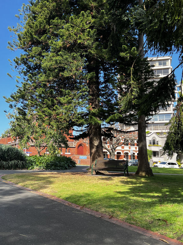 Treasury garden in Melbourne 🇦🇺