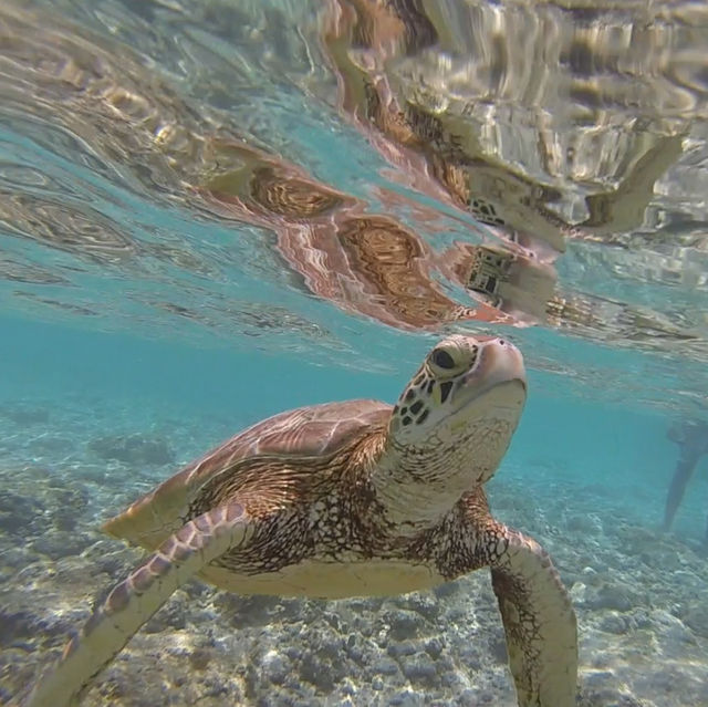 Dream holiday on Gili T, Indonesia