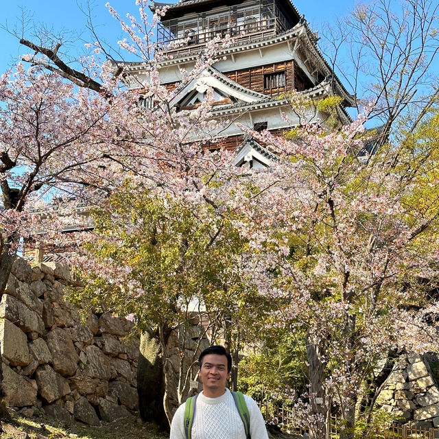 Exploring the Wonders of Hiroshima Castle!