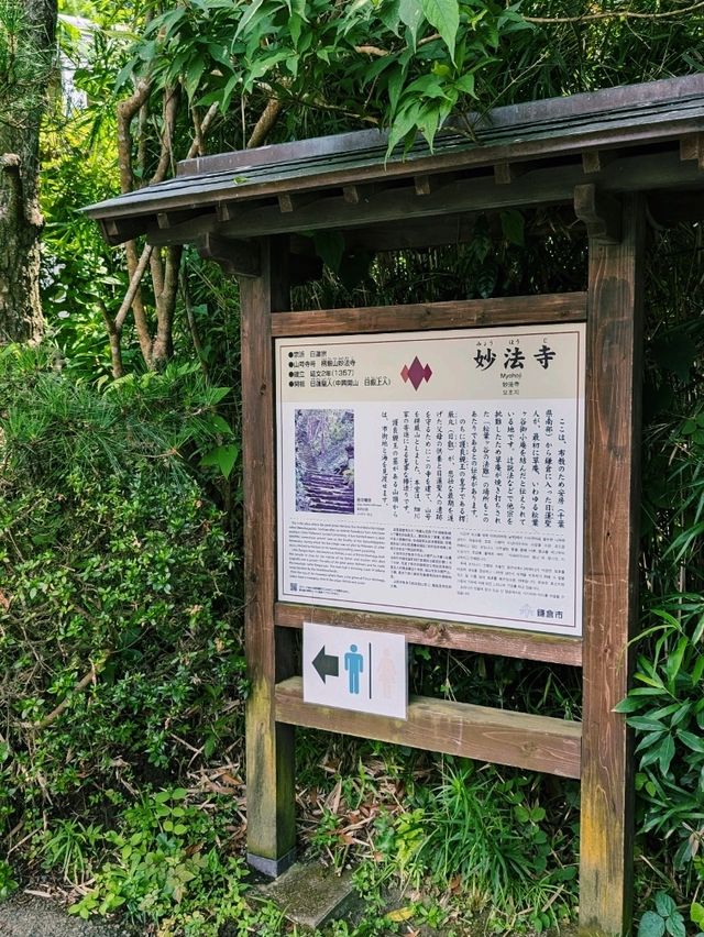 【鎌倉・妙法寺】朝に訪れたい静寂の苔寺