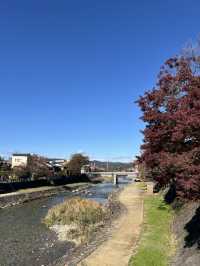 Takayama: A Day of Charm and Serenity