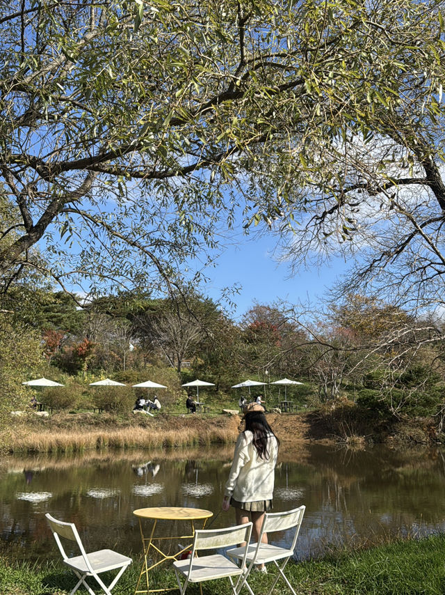 호수와 단풍나무가 어우러진 힐링카페